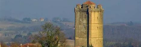 Donjon de Bassoue Donjon de Bassoue