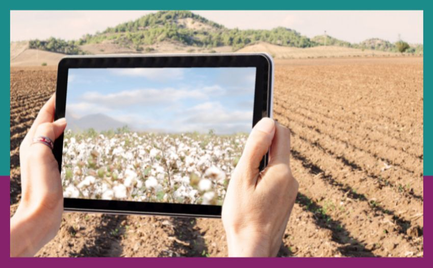 numérique et agriculture webinaire